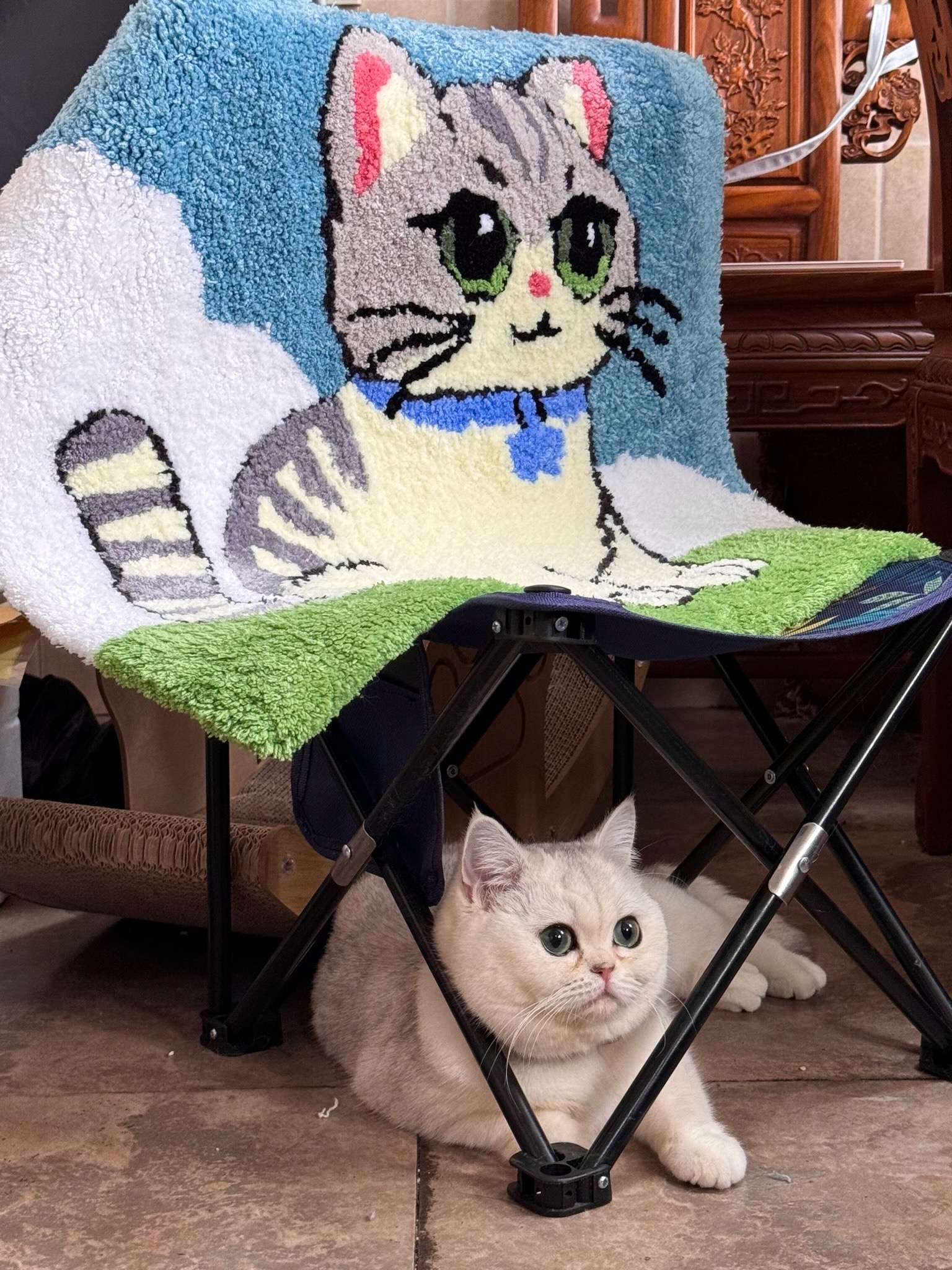 Sylvia the cat